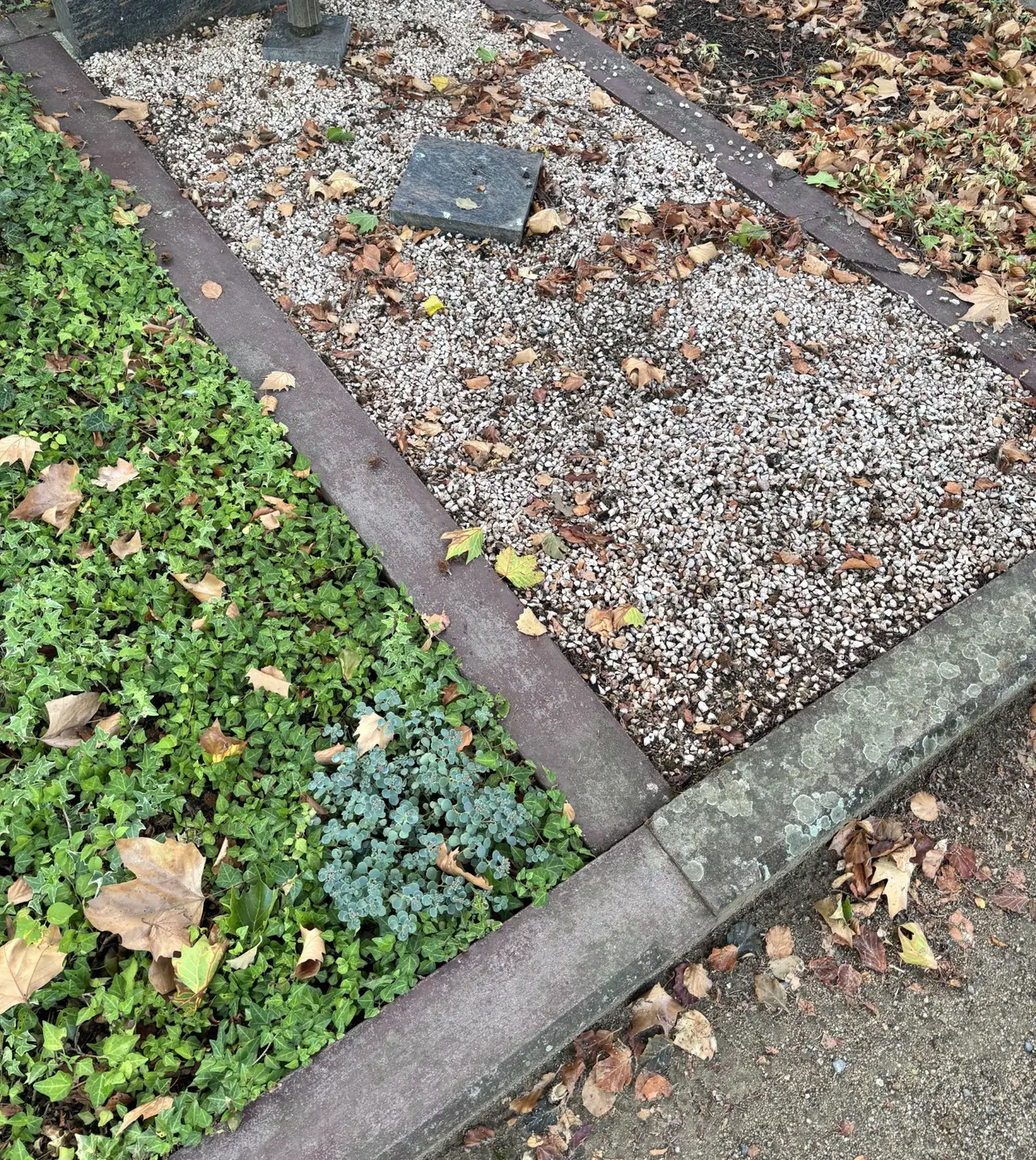 Grabstätte mit Laub und Pflegebedarf vor einem Einsatz
