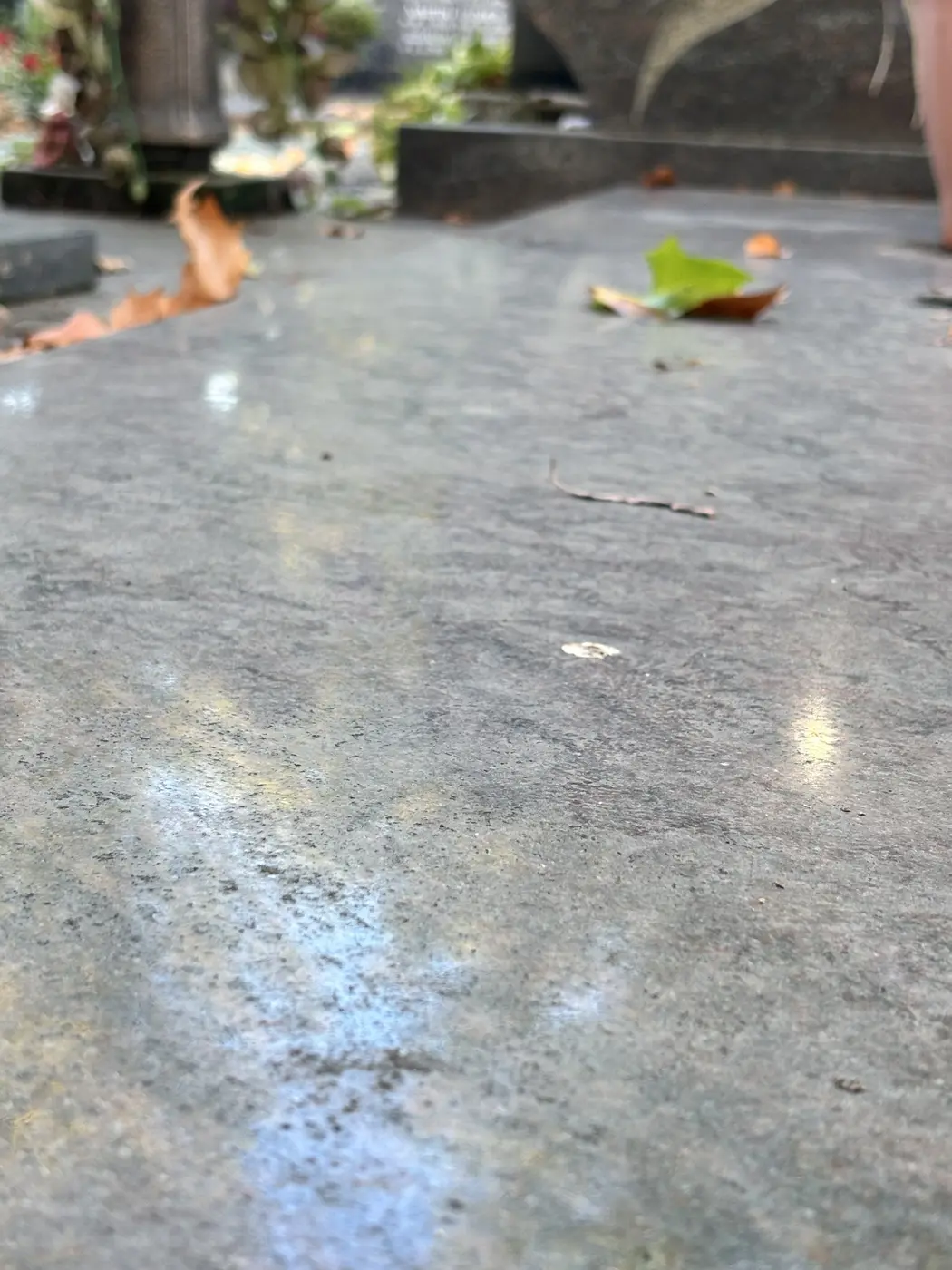 Verwitterte Grabplatte vor einer materialgerechten Reinigung